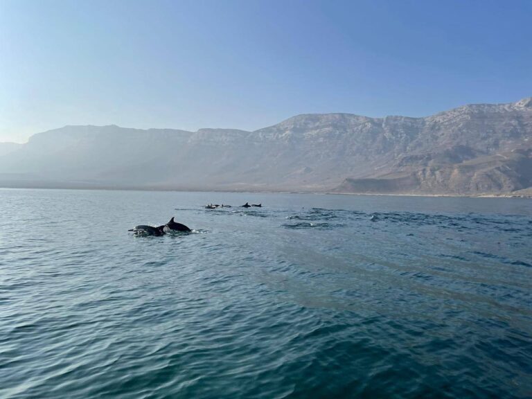 Can Journalists Travel to Socotra